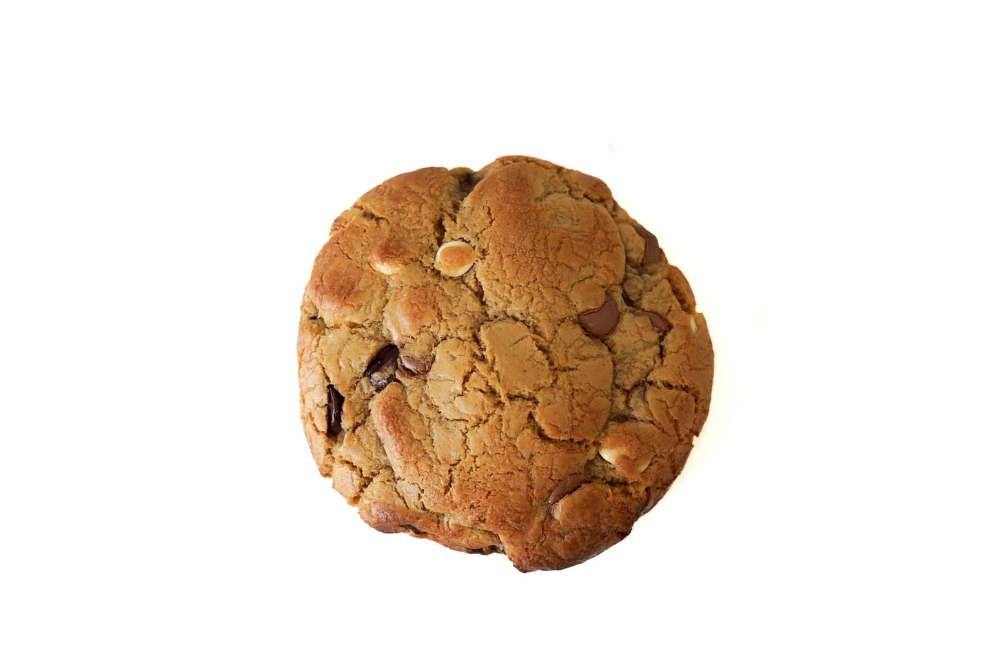 Triple Chocolate Chip - The Dome
