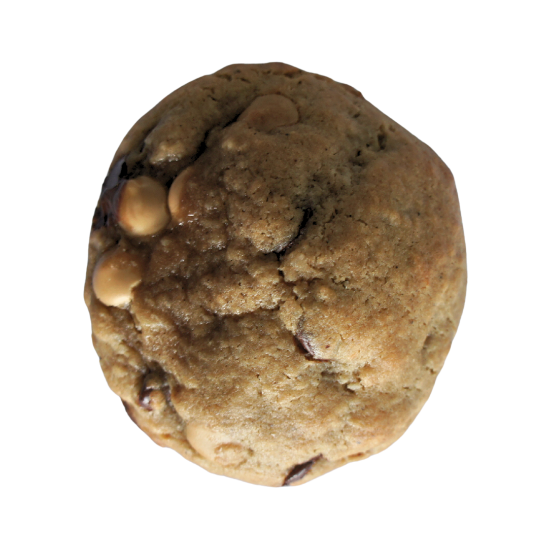 August Special - Coconut Caramel Dome