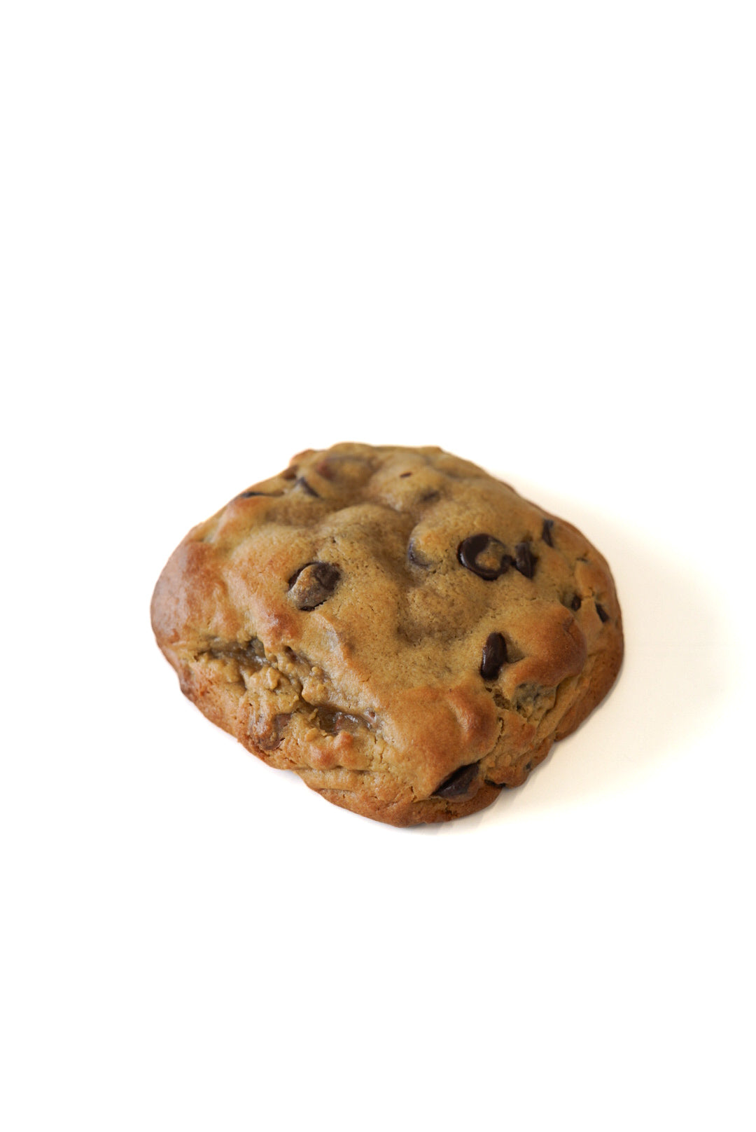Double Chocolate Chip - Dome