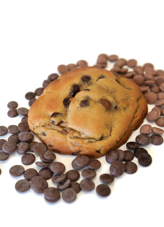 Double Chocolate Chip - Dome