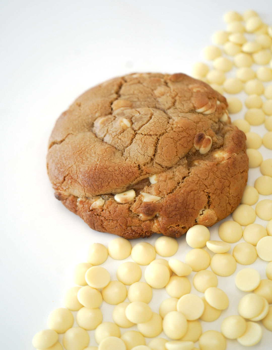White Chocolate Dome Cookie, half-pound gourmet cookie by Jack's BackHaus