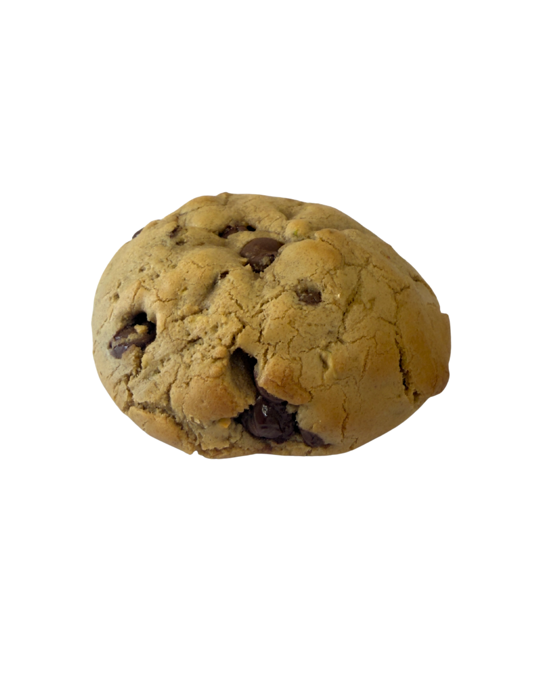 Stuffed Pistachio - Dome