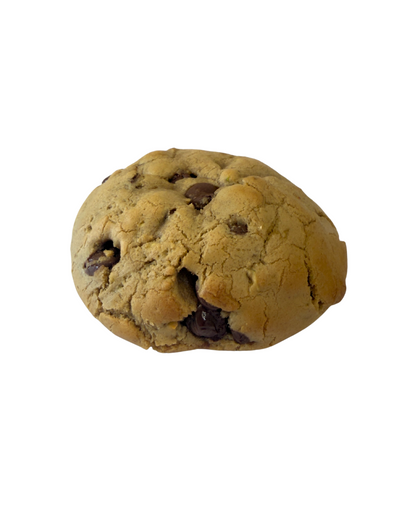 Stuffed Pistachio - Dome