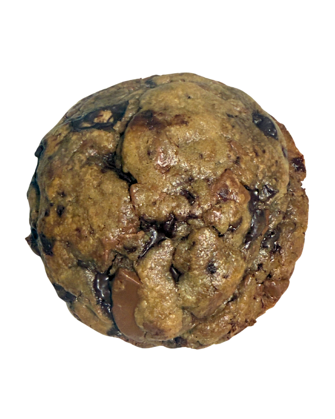 Double Chocolate Chip Cookie - Dome