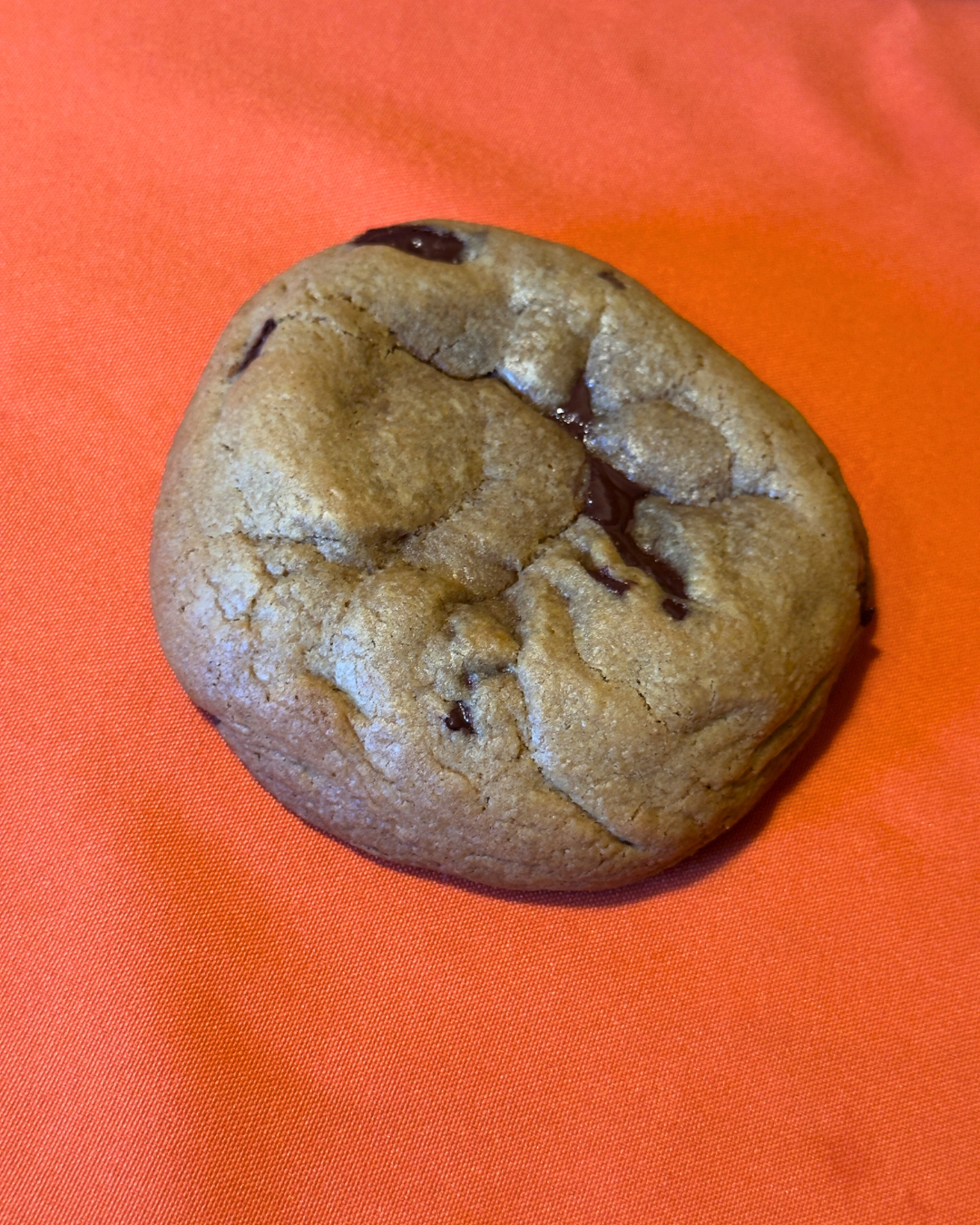 October Special - Pumpkin Spice Dome