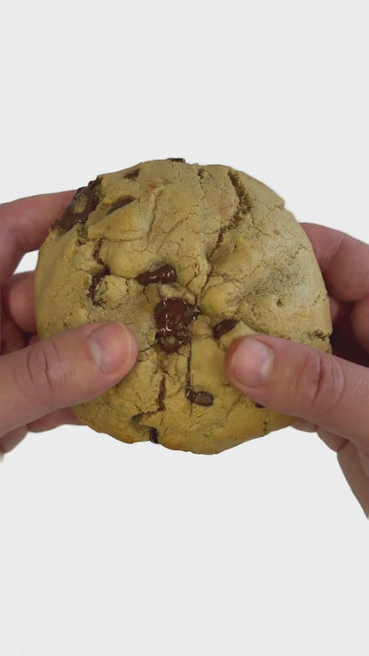 Stuffed Pistachio - Dome