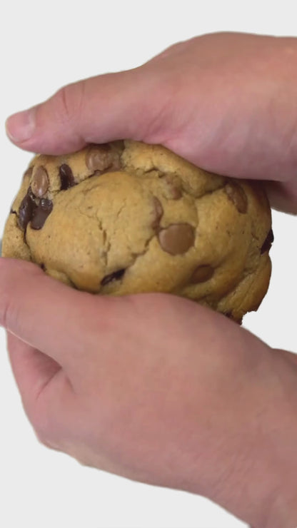 Double Chocolate Chip - Dome