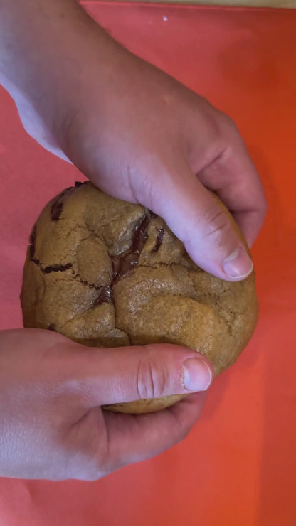 October Special - Pumpkin Spice Dome